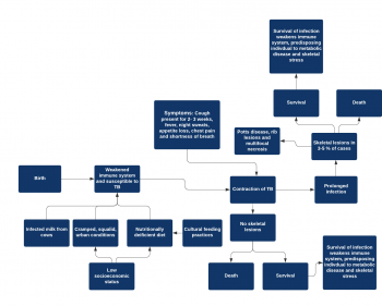 Figure 4: Disease pathway of tuberculosis (using Benzagmout et al. 2011, 10; Resnick 2002, 2525; Roberts 2000, 151; Roberts and Buikstra 2003; Roberts and Cox 2003; Wedlock 2002, 473).